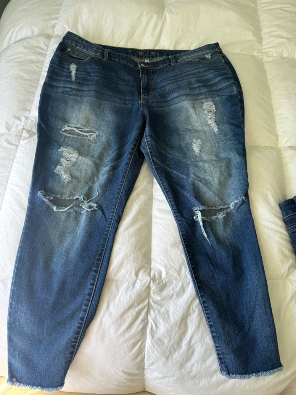 Jennifer Lopez Ripped Skinny Jeans Medium Washed Size 18W